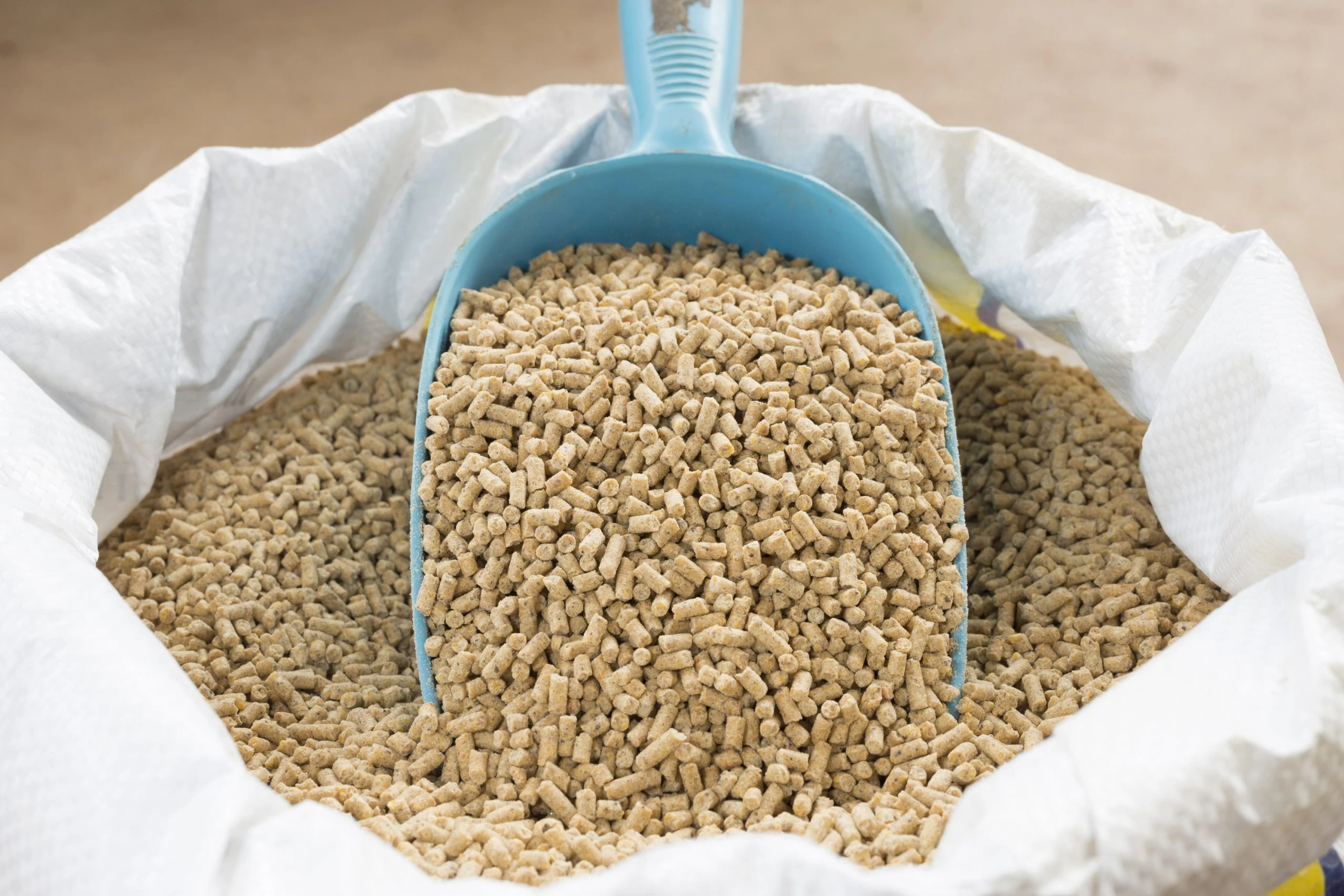 Animal feeds